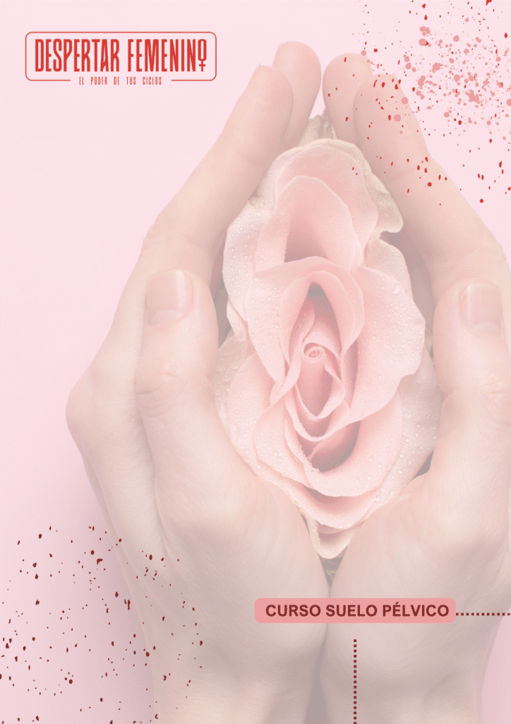 Curso Pelvico Programa castellon