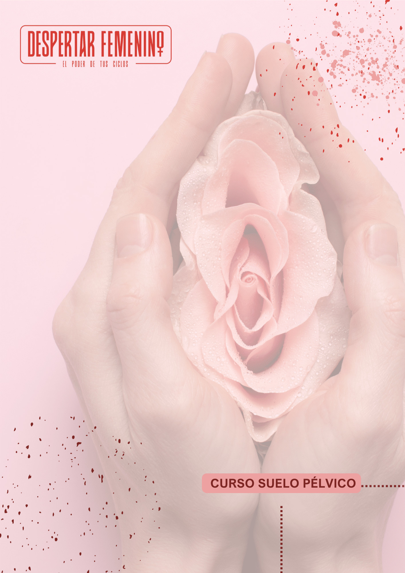 Curso Pelvico Programa castellon